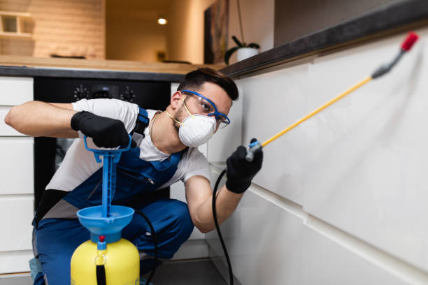 Best Rat Extermination Near Me  in Stuart, IA