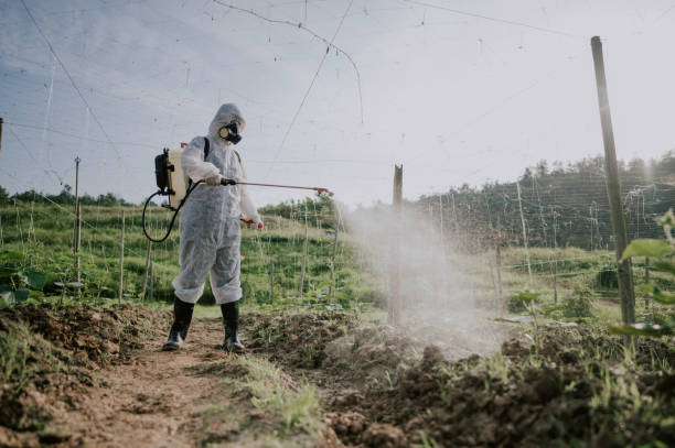 Best Mosquito Control Services  in Stuart, IA
