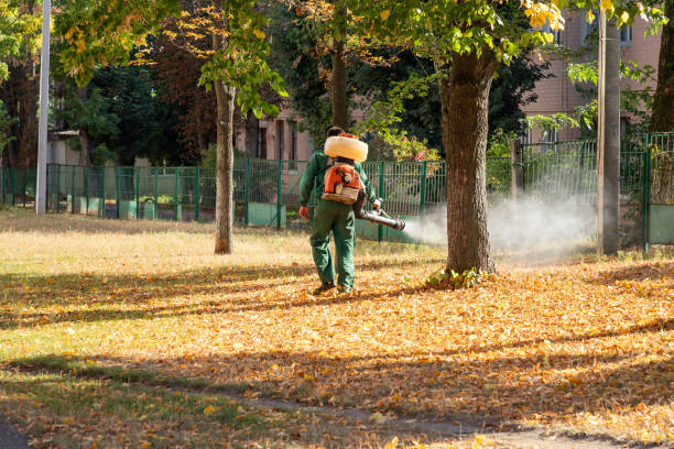 Reliable Stuart, IA Pest Control Solutions