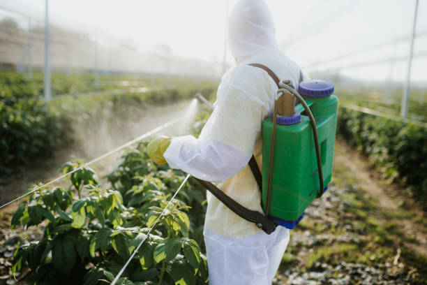Best Affordable Pest Control Services  in Stuart, IA